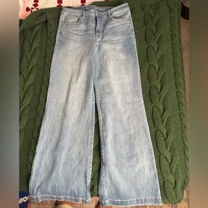 American Eagle wide leg jeans